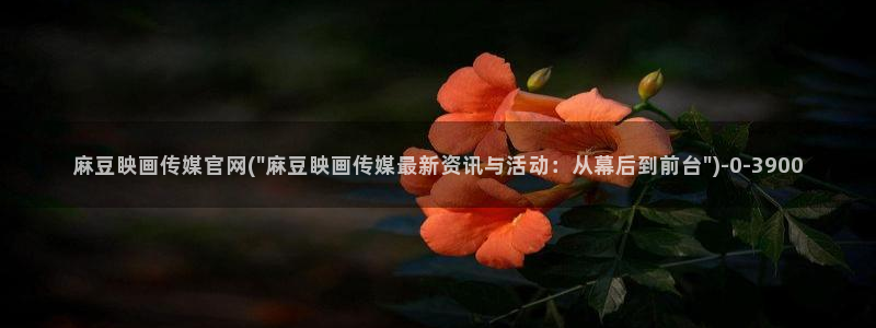 麻豆传媒在线官网入口：麻豆眏画传媒官网(\
