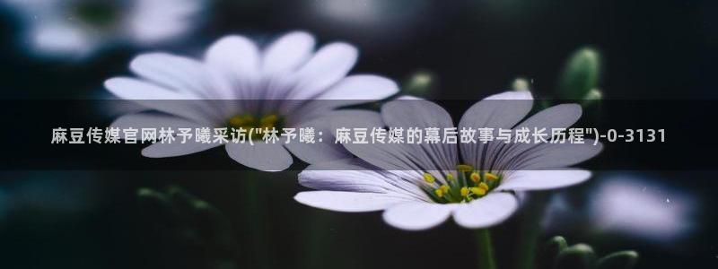 麻豆性传媒官网：麻豆传媒官网林予曦采访(\