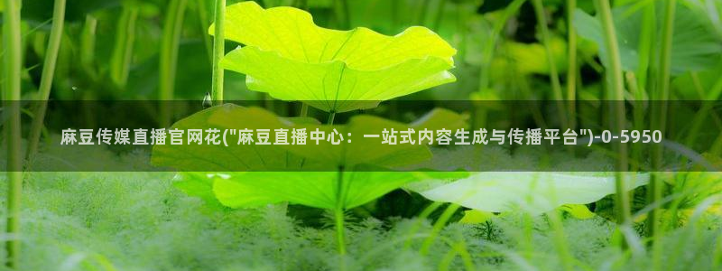 麻豆传媒映画传媒官网：麻豆传媒直播官网花(\