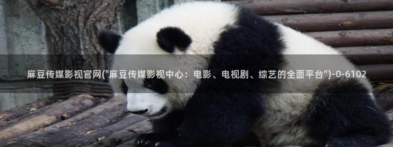 麻豆传媒官网是哪个：麻豆传媒影视官网(\