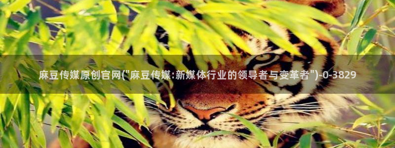麻豆传媒官网怎么找到：麻豆传媒原创官网(\