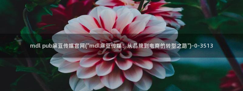 麻豆视传媒官网入口进入：mdl pub麻豆传媒官网(\
