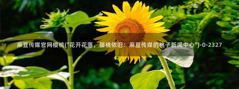 火辣麻豆传媒官网：麻豆传媒官网樱桃(\