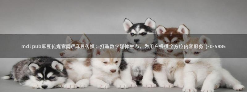 91麻豆传媒官网是：mdl pub麻豆传媒官网(\